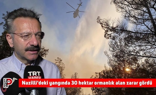 Nazilli'deki yangında 30 hektar ormanlık alan zarar gördü