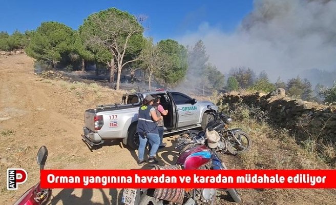 Orman yangınına havadan ve karadan müdahale ediliyor