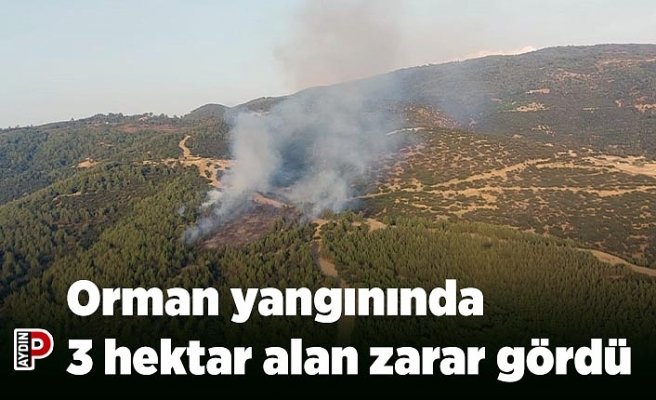 Orman yangınında 3 hektar alan zarar gördü