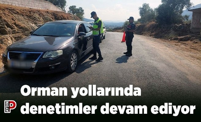 Orman yollarında denetimler devam ediyor