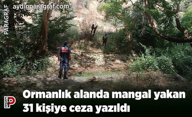 Ormanlık alanda mangal yakan 31 kişiye ceza yazıldı