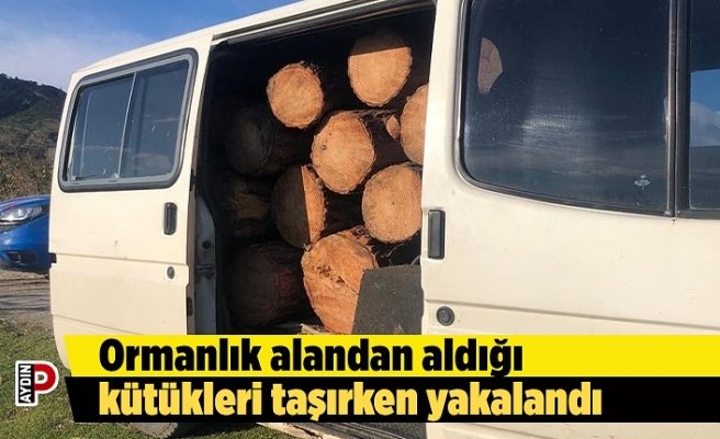 Ormanlık alandan aldığı kütükleri taşırken yakalandı