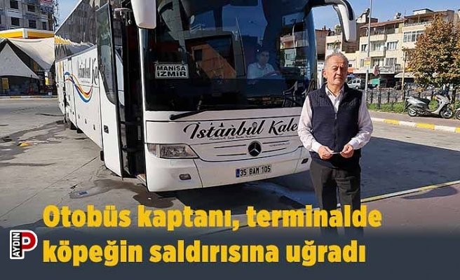 Otobüs kaptanı, terminalde köpeğin saldırısına uğradı