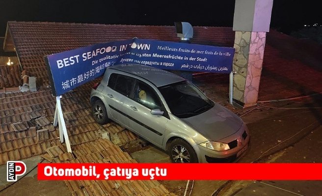 Otomobil, çatıya uçtu