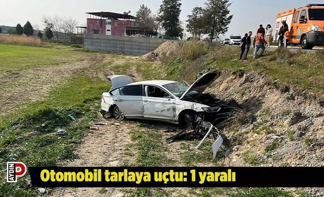 Otomobil tarlaya uçtu: 1 yaralı