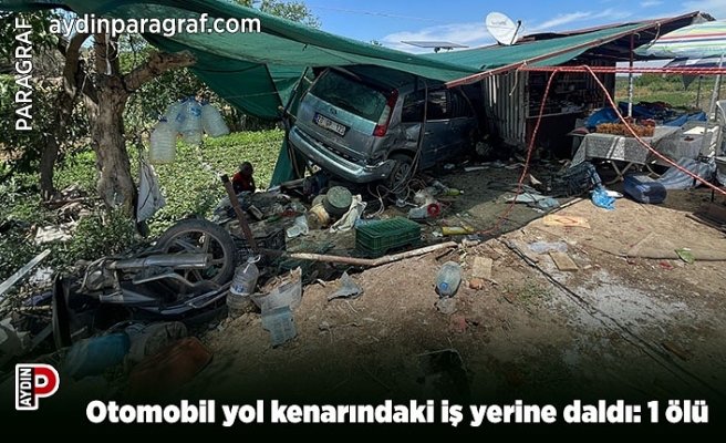 Otomobil yol kenarındaki iş yerine daldı: 1 ölü