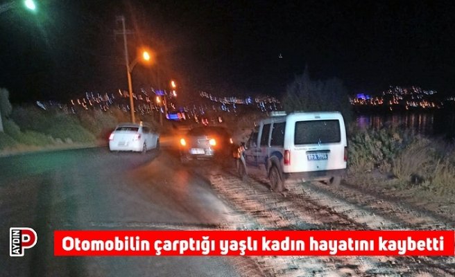 Otomobilin çarptığı yaşlı kadın hayatını kaybetti