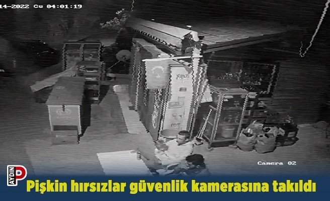 Pişkin hırsızlar güvenlik kamerasına takıldı