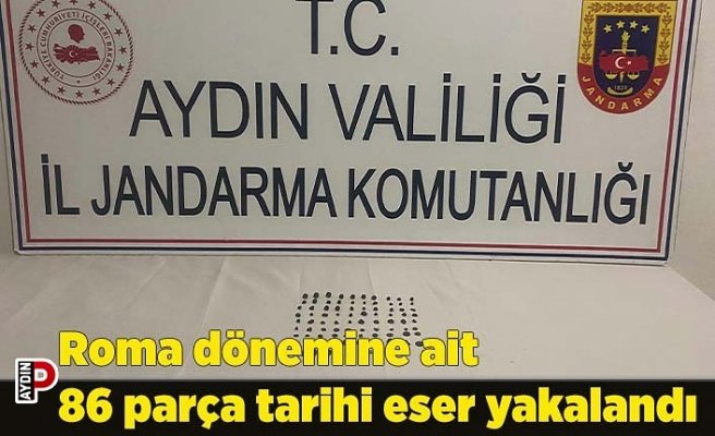Roma dönemine ait 86 parça tarihi eser yakalandı