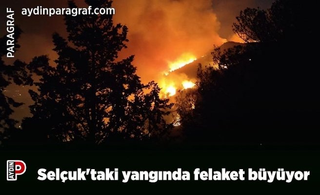 Selçuk'taki yangında felaket büyüyor