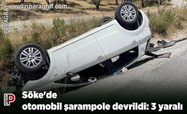 Söke'de otomobil şarampole devrildi: 3 yaralı