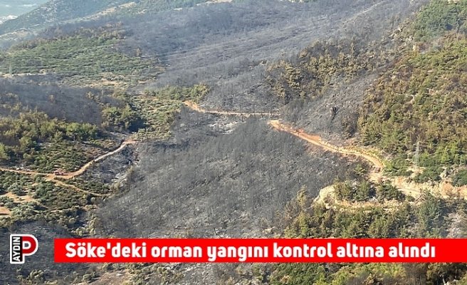 Söke'deki orman yangını kontrol altına alındı