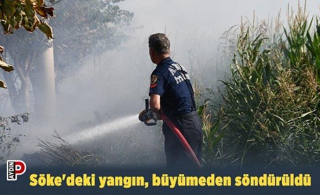 Söke'deki yangın, büyümeden söndürüldü