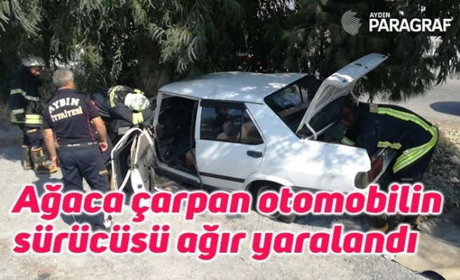 Söke’de ağaca çarpan otomobilin sürücüsü ağır yaralandı