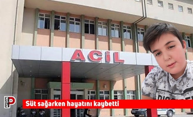 Süt sağarken hayatını kaybetti