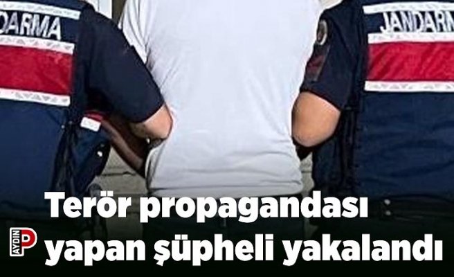 Terör propagandası yapan şüpheli yakalandı