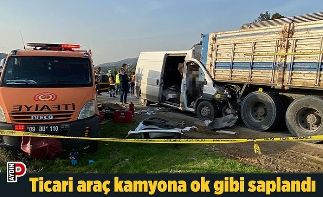 Ticari araç kamyona ok gibi saplandı