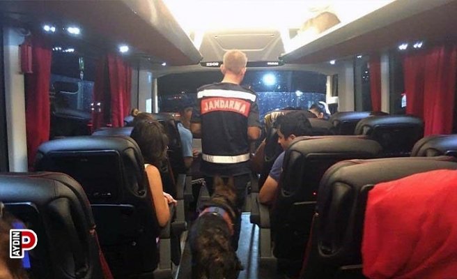 Uyuşturucu ile seyahate narkotik köpeği engeli