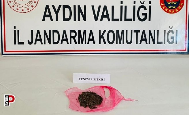 Uyuşturucu kullanan 7 kişi yakalandı