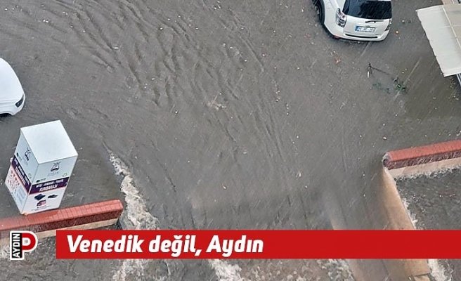 Venedik değil, Aydın