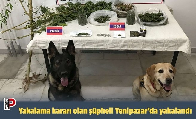 Yakalama kararı olan şüpheli Yenipazar’da yakalandı