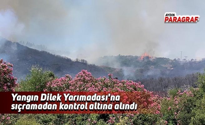 Yangın Dilek Yarımadası'na sıçramadan kontrol altına alındı