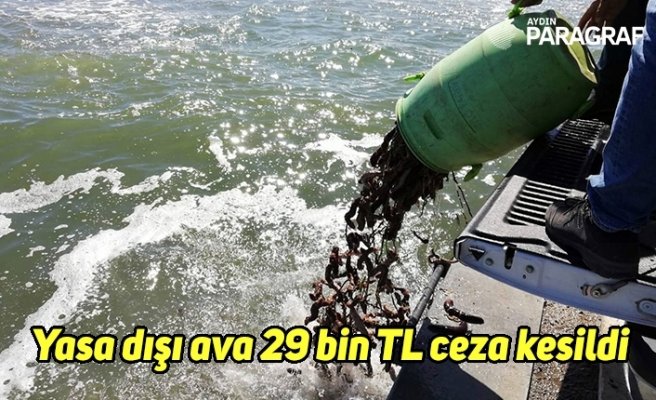 Yasa dışı ava 29 bin TL ceza kesildi