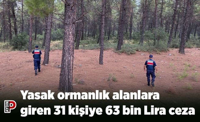Yasak ormanlık alanlara giren 31 kişiye 63 bin Lira ceza
