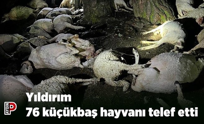 Yıldırım 76 küçükbaş hayvanı telef etti