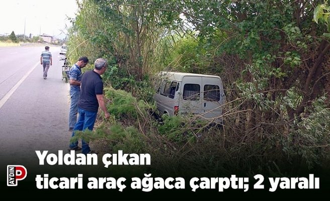 Yoldan çıkan ticari araç ağaca çarptı; 2 yaralı