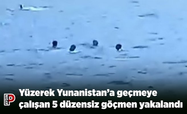 Yüzerek Yunanistan’a geçmeye çalışan 5 düzensiz göçmen yakalandı