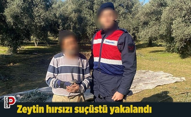 Zeytin hırsızı suçüstü yakalandı