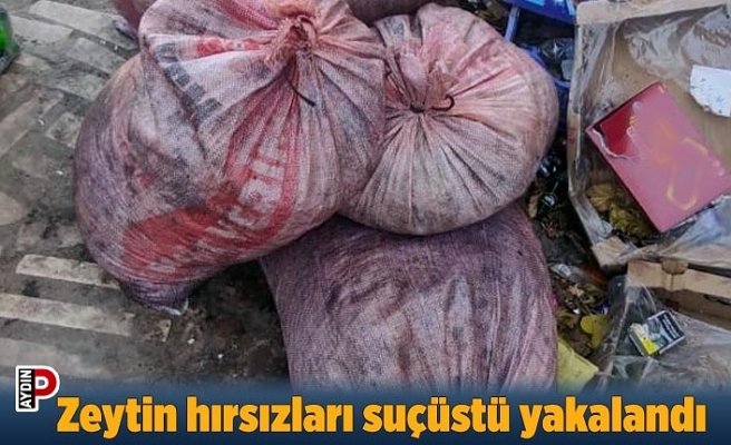 Zeytin hırsızları suçüstü yakalandı