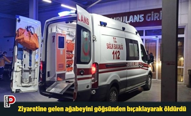 Ziyaretine gelen ağabeyini göğsünden bıçaklayarak öldürdü