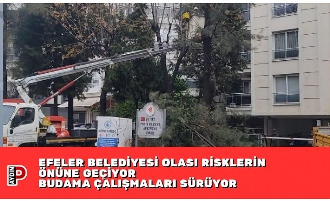EFELER BELEDİYESİ OLASI RİSKLERİN ÖNÜNE GEÇİYOR BUDAMA ÇALIŞMALARI SÜRÜYOR