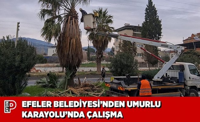 EFELER BELEDİYESİ’NDEN UMURLU KARAYOLU’NDA ÇALIŞMA