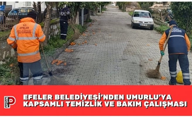 EFELER BELEDİYESİ’NDEN UMURLU’YA KAPSAMLI TEMİZLİK VE BAKIM ÇALIŞMASI