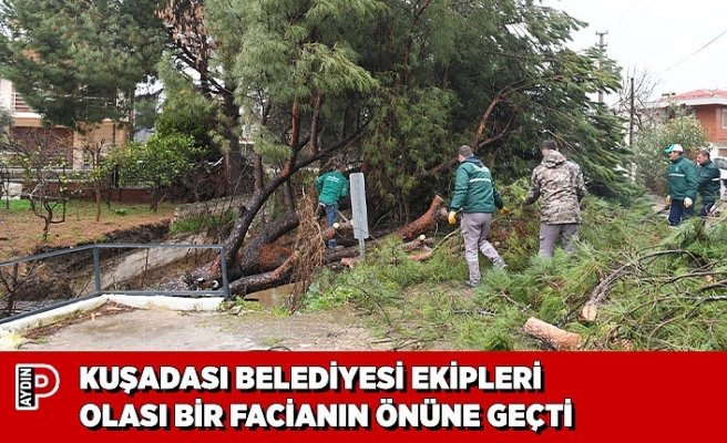 KUŞADASI BELEDİYESİ EKİPLERİ OLASI BİR FACİANIN ÖNÜNE GEÇTİ